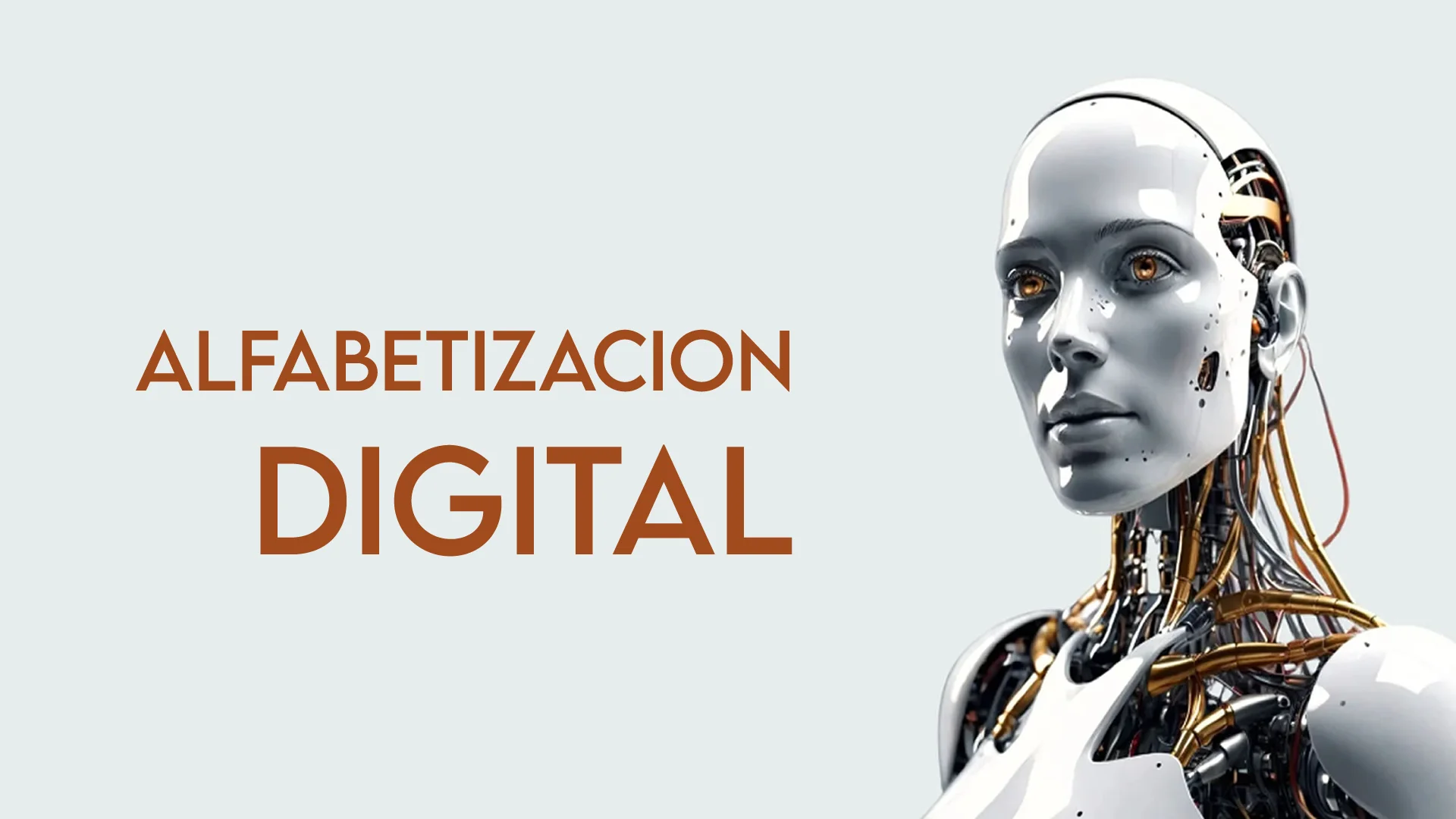 Alfabetizacion Digital